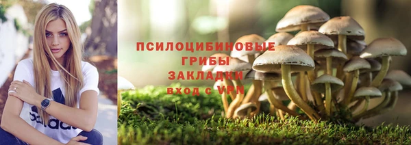 экстази Арсеньев