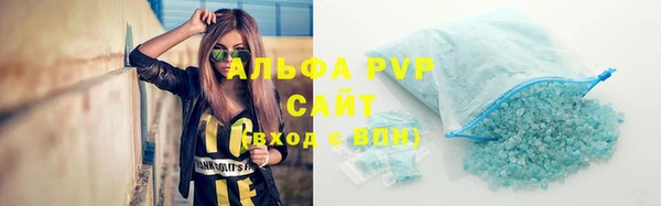 ПСИЛОЦИБИНОВЫЕ ГРИБЫ Иннополис