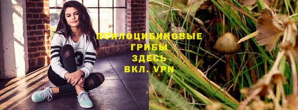 экстази Арсеньев