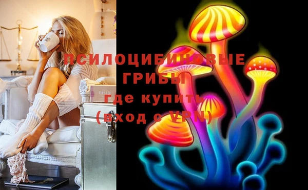 ПСИЛОЦИБИНОВЫЕ ГРИБЫ Армянск