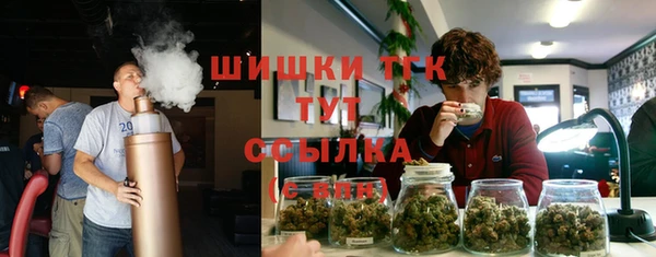 экстази Арсеньев
